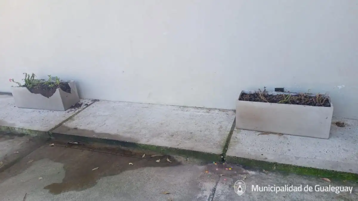 Se produjeron destrozos de macetas  en el NIDO