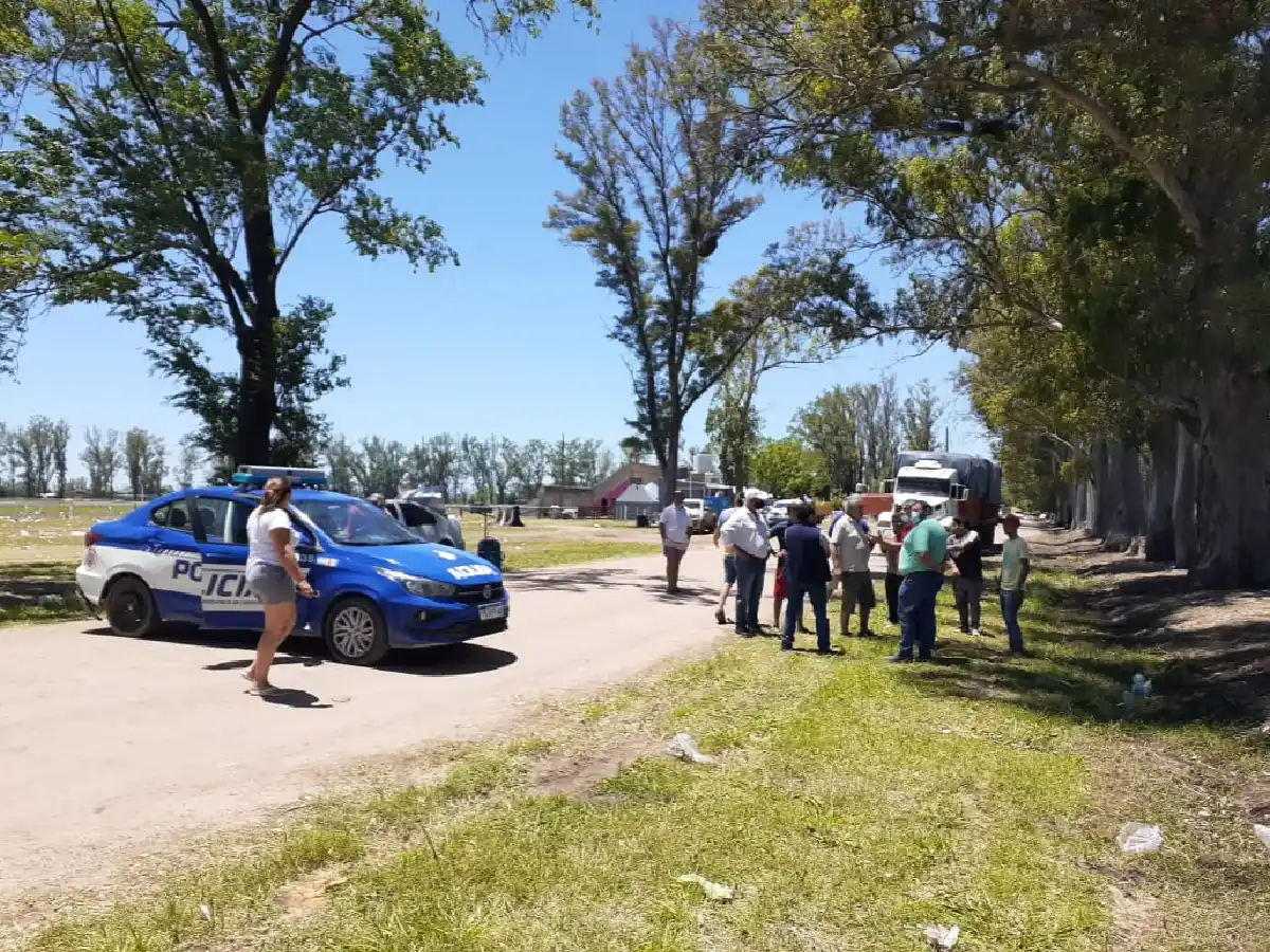 Comenzó investigación por la muerte de los caballos tras una carrera en San Francisco 