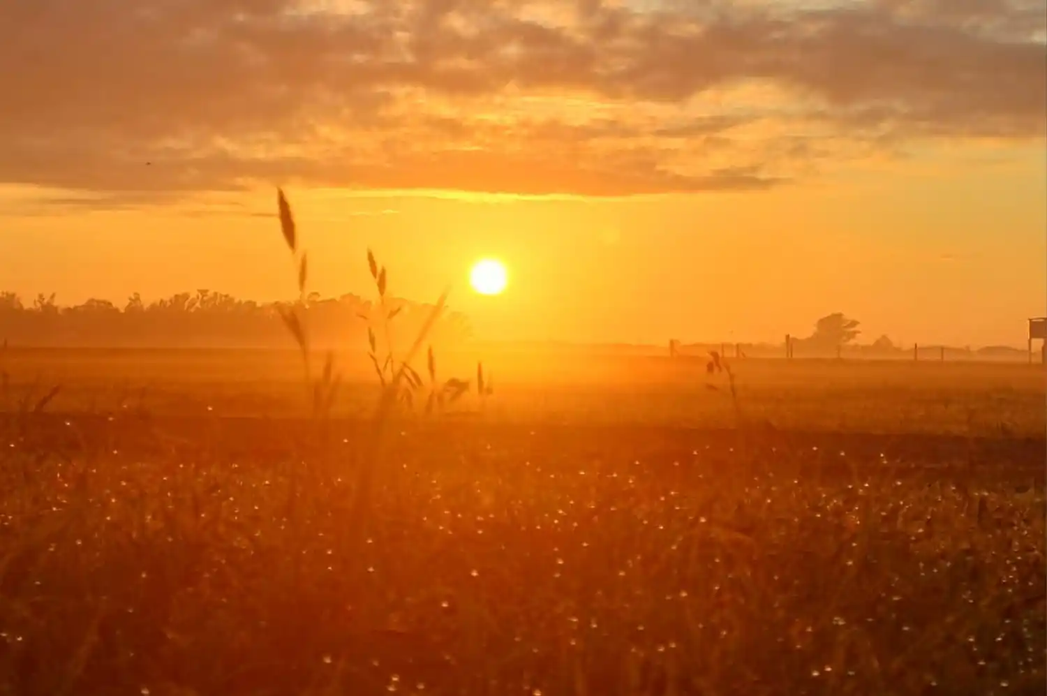 Sube la temperatura, aumenta la humedad y… ¿se aleja la anunciada lluvia?
