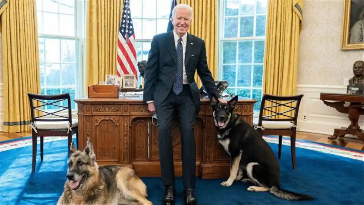 Con el corazón destrozado, Biden anuncia la muerte de su perro Champ