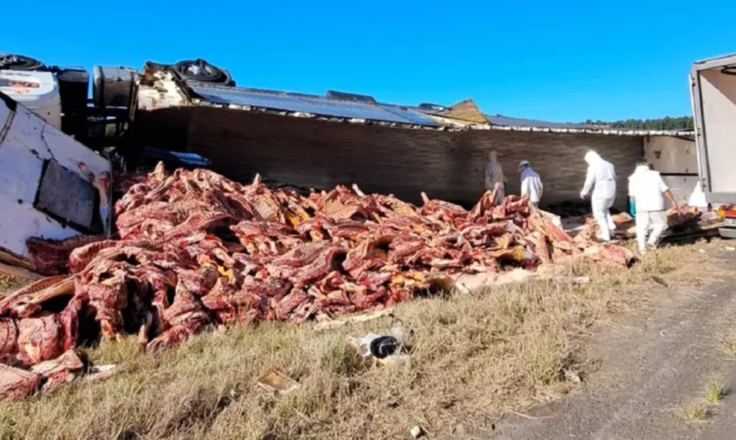 ACCIDENTE CARNE