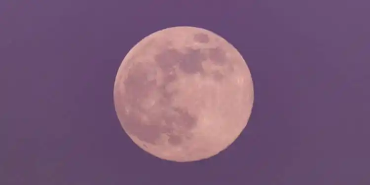 ¿CONOCES la Luna rosa? Te contamos cómo y cuándo verla