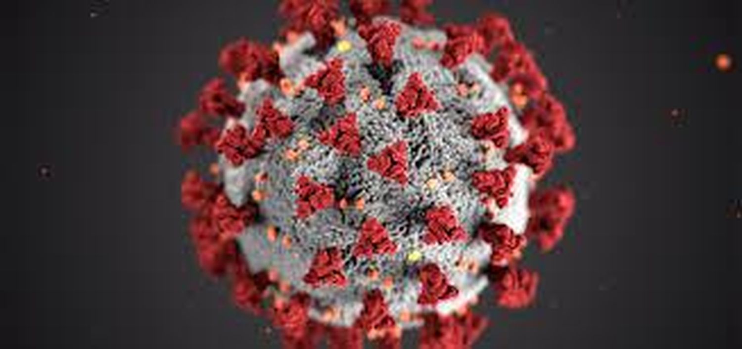Este viernes no se registraron casos de coronavirus en Entre Ríos
