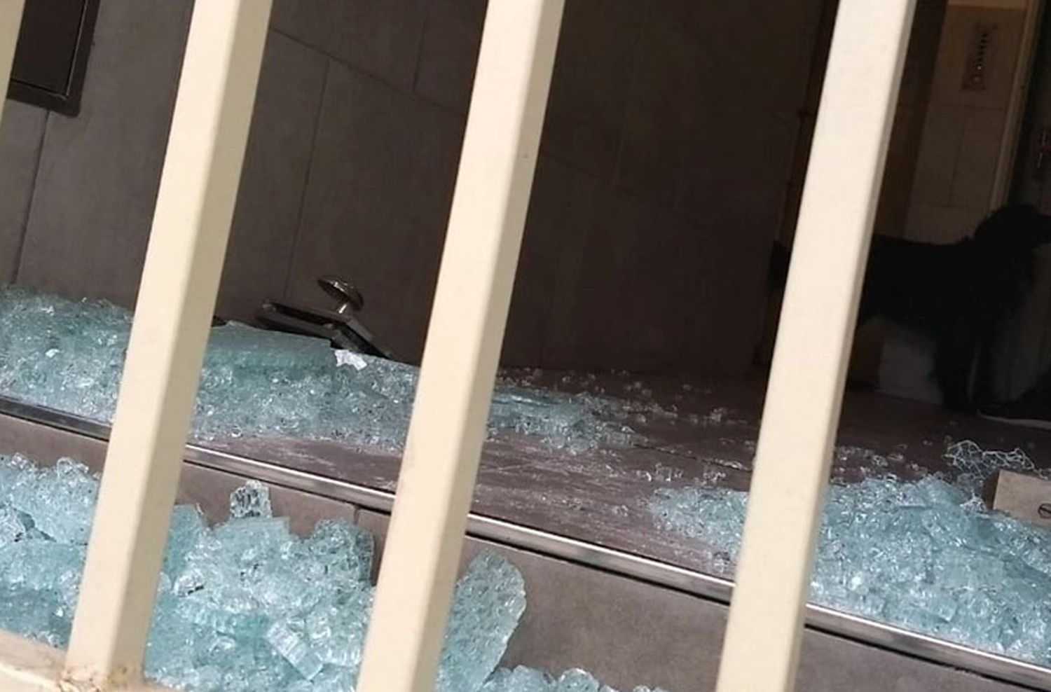 Pánico de madrugada: estaba en su casa con su esposa e hijo, escuchó ruidos de vidrios rotos y encontró una bala