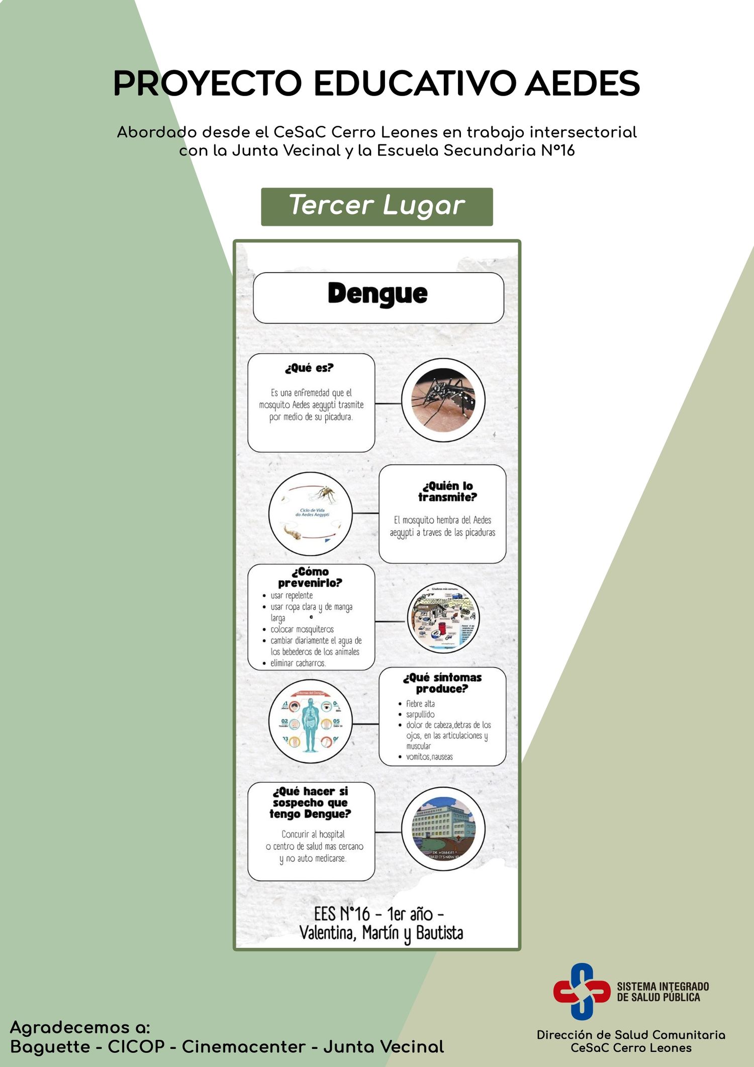 proyecto aedes cerro leones - 2