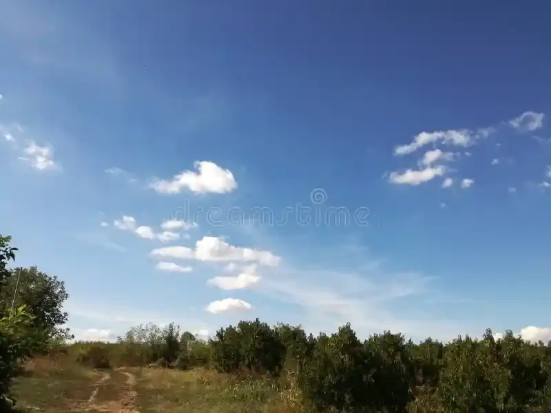 Clima en Gualeguay: jornada estable, con temperaturas agradables y cielo variable