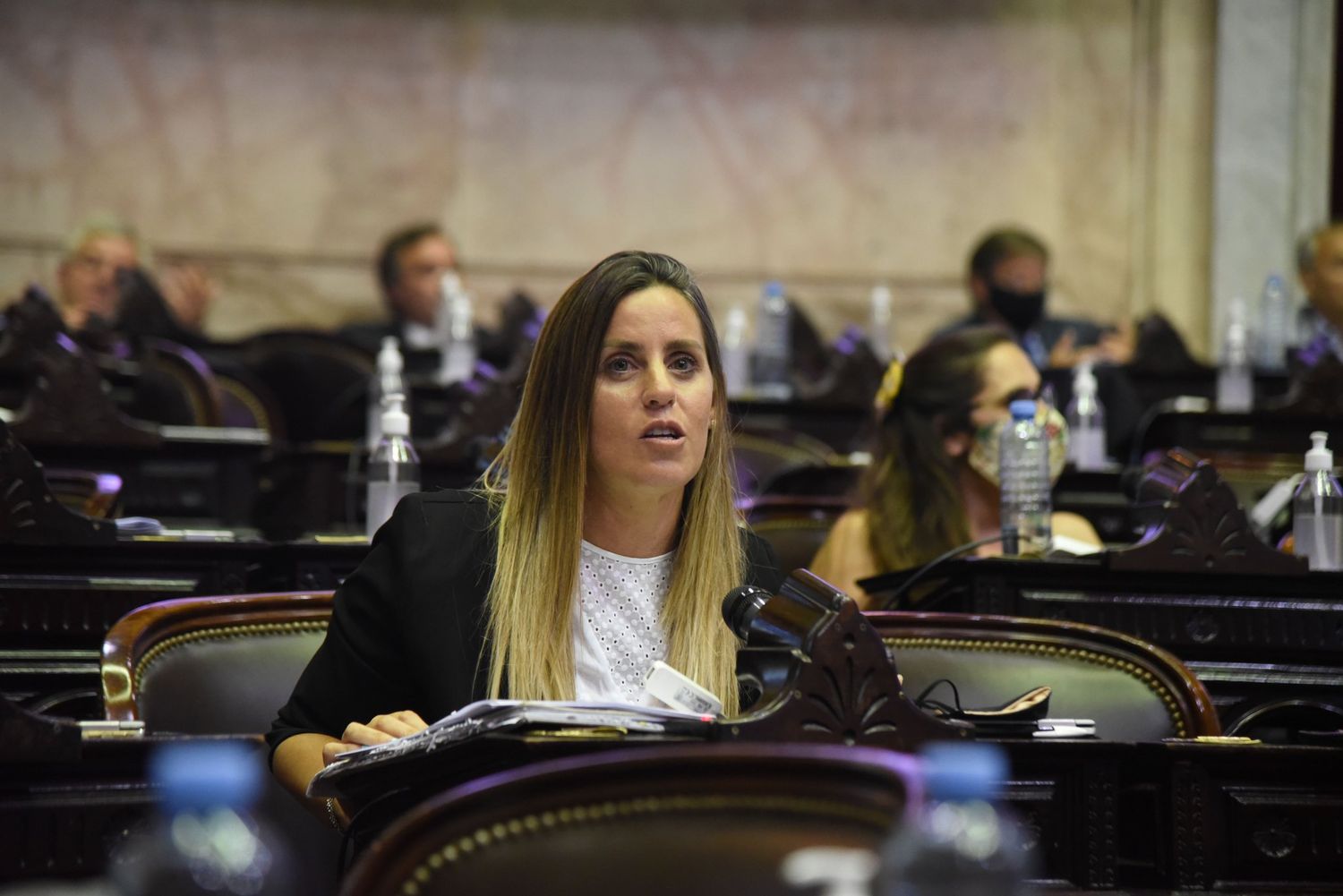 Natalia Villa: "El aborto funciona como una cortina de humo para tapar el verdadero ajuste a los jubilados"