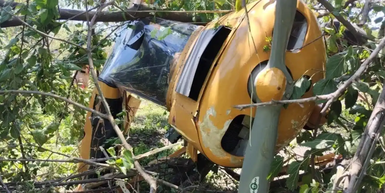 La avioneta terminó entre los arbustos.