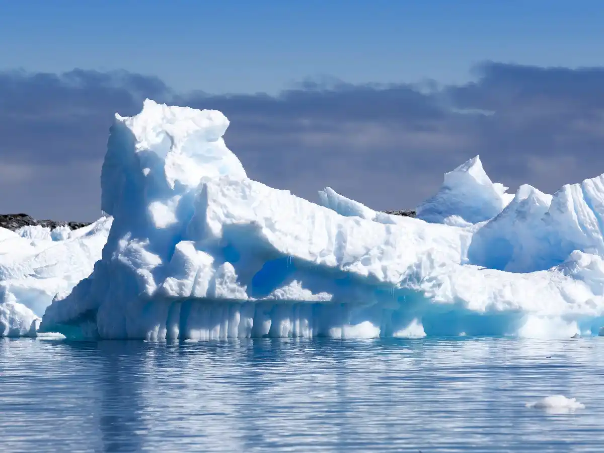 Detectan pez tropical cerca del Polo Ártico y lo relacionan con efectos de cambio climático