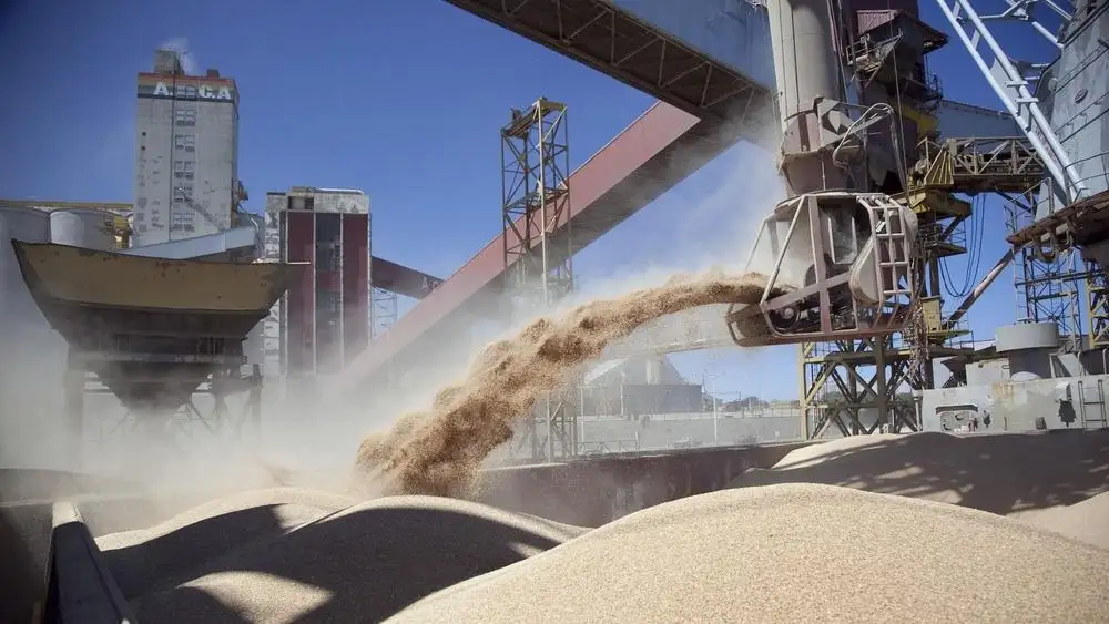 “En relación a abril de 2025, la baja es insignificante y muestra que los efectos de la suspensión de derechos del año pasado ya no se sienten en el mercado de granos para exportación”