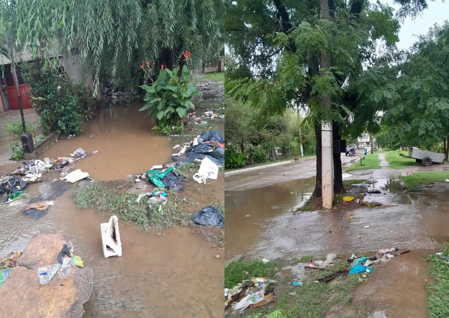 Agua en zona de Fabián Pesca