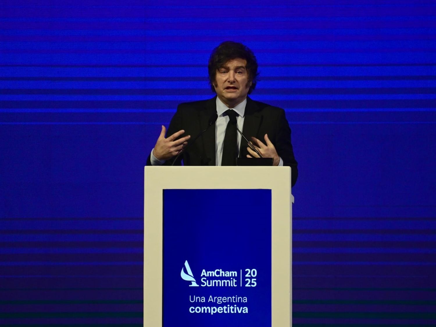 Milei hizo chanzas tras la victoria y cuestionó la agenda progresista