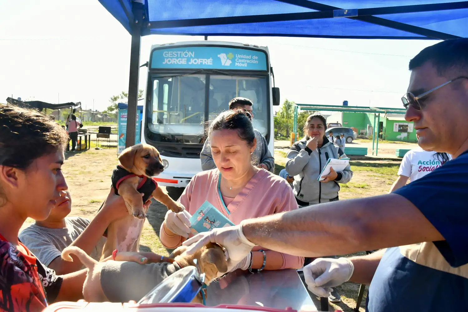 El Castramóvil Municipal visitó el barrio 28 de Junio