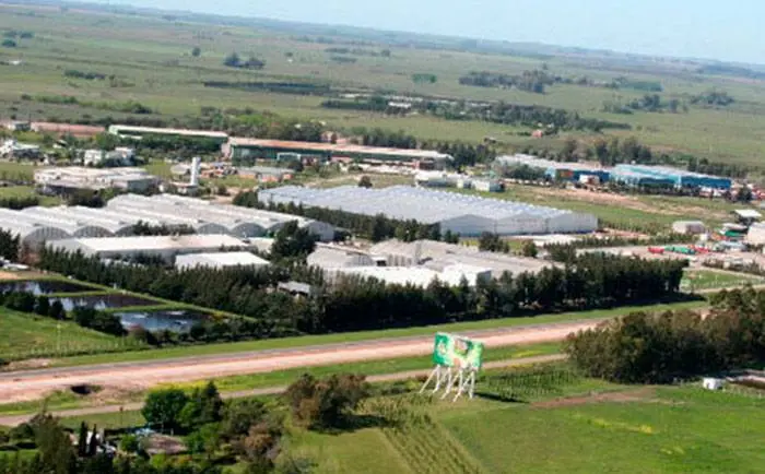Allanamiento en la empresa Baggio: Investigan supuesta estafa multimillonaria
