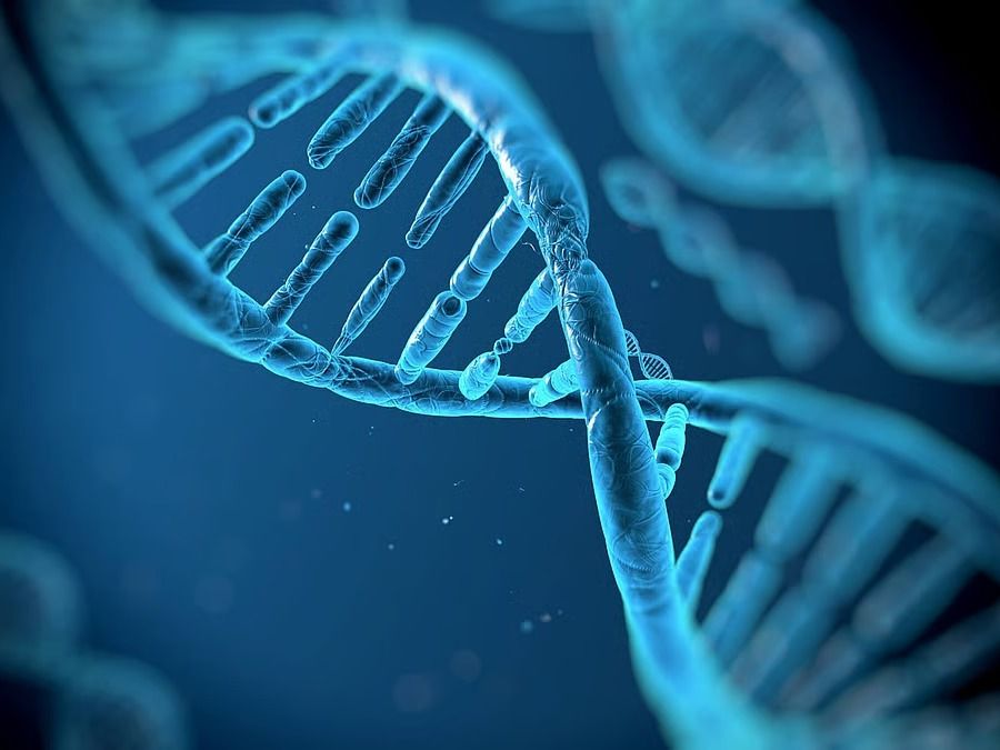ADN y la estructura de doble hélice: un antes y un después en la biología y la medicina