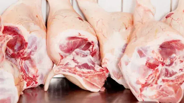 Bromatología brinda recomendaciones para evitar la triquinosis