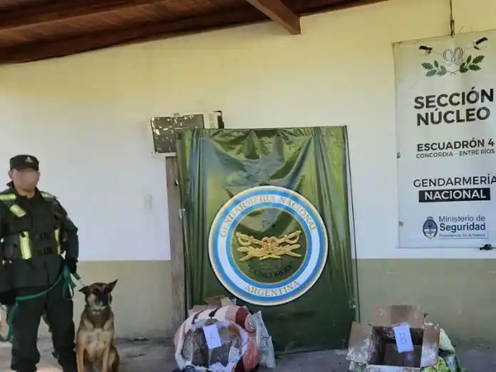 Hallaron más de 112 kilos de marihuana ocultos en encomiendas en Entre Ríos