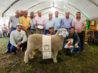 Premios y orgullo: destacada actuación de La Libertad en la Expo Ovina Nacional