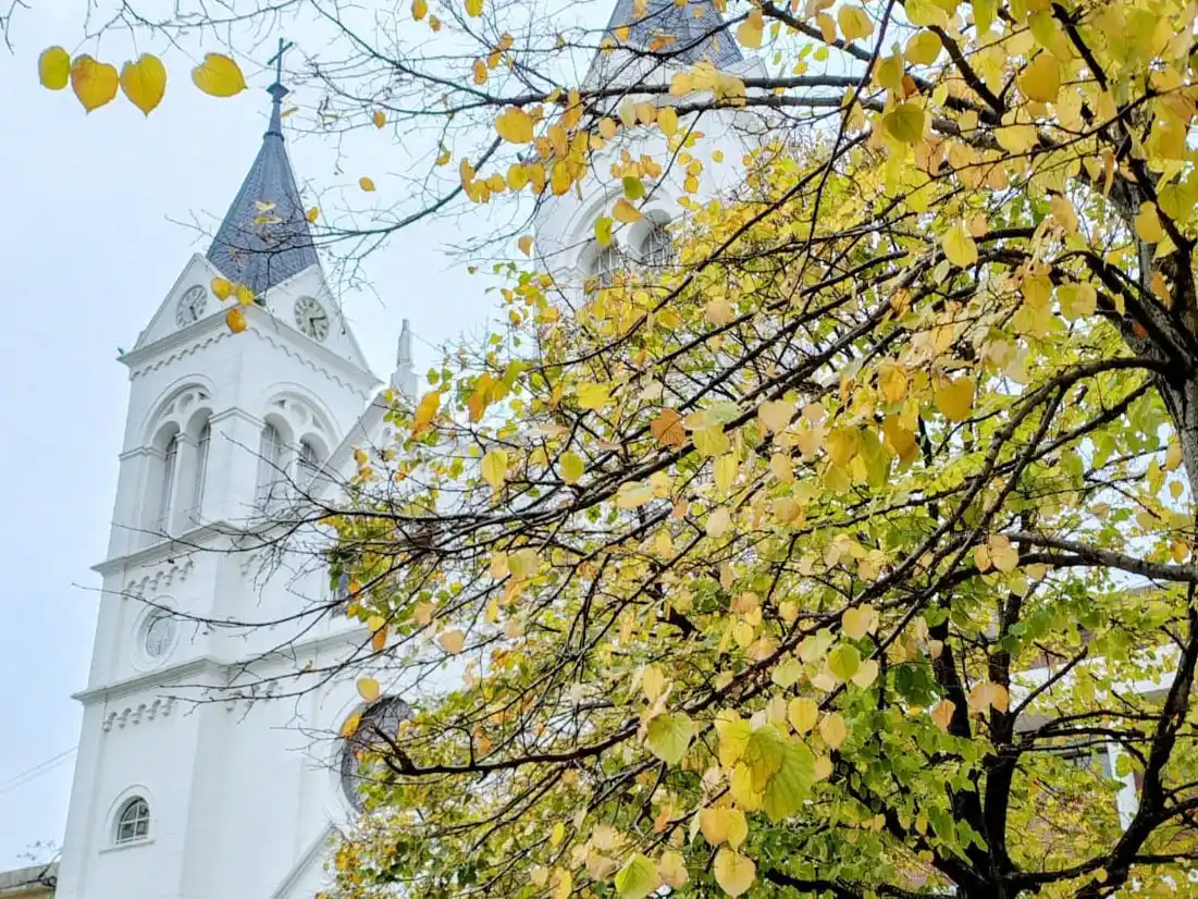 San Antonio Patrono de Concordia: Él es, Peregrino de la Esperanza, que va al encuentro del hermano
