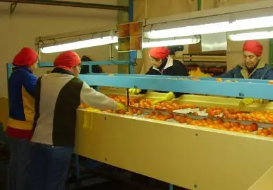 Invertirán más de 2 millones de pesos en proyectos productivos