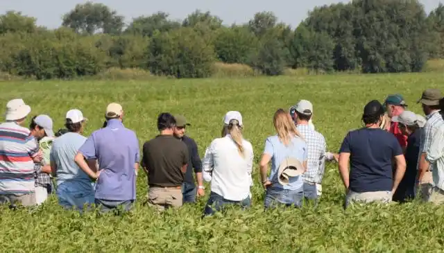 Con poca expectativa, el campo trabaja y los productores planifican