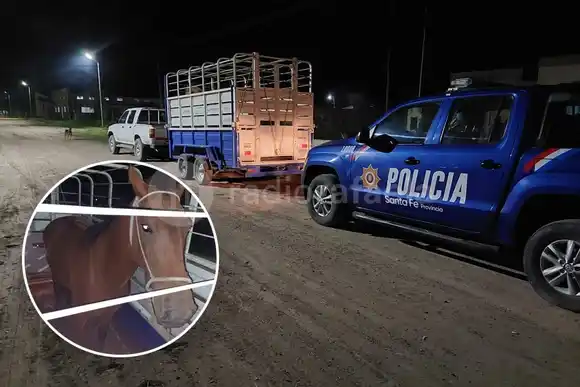 Atraparon a dos hombres transportando un caballo y productos robados