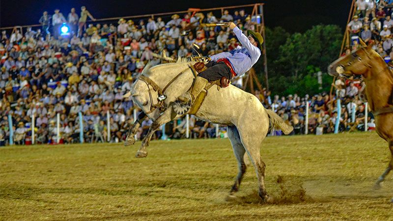 Gualeguaychú: Proteccionistas contra las jineteadas: buscan "demostrar su poder y machismo"