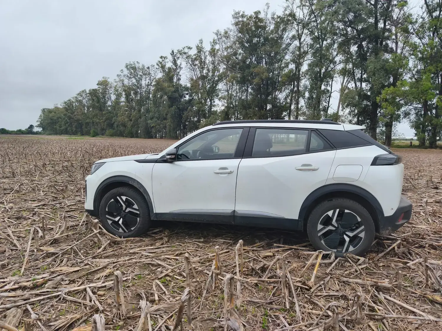 El vehículo blanco robado tras el asalto en el vivero fue hallado abandonado en un descampado, tras haber sido utilizada por los delincuentes para darse a la fuga durante el hecho.