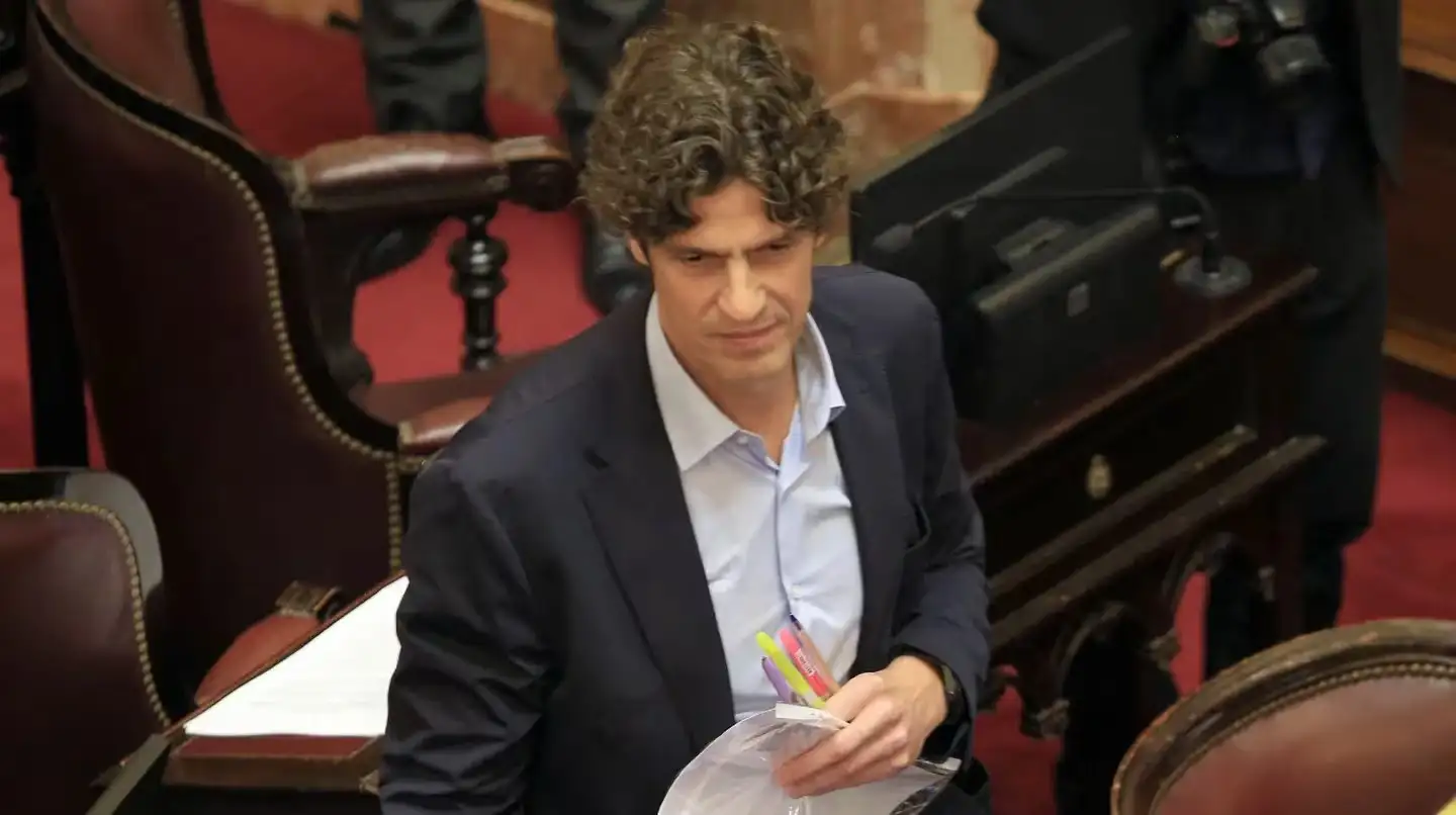Martín Lousteau, senador radical.