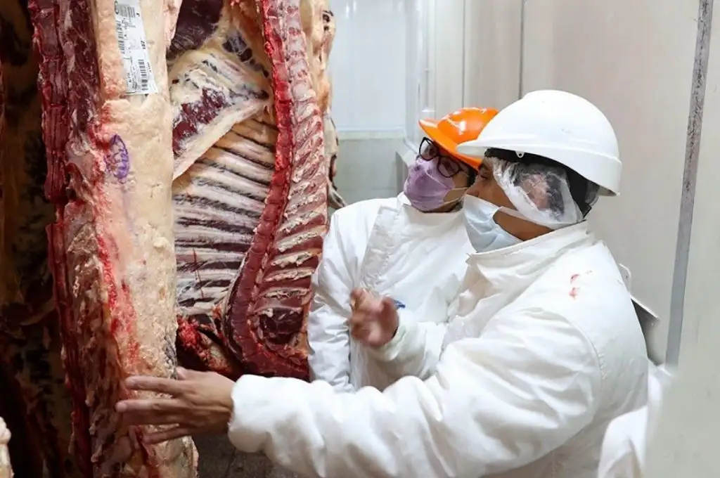 El cepo a las exportaciones de carne generó pérdidas por más de U$S1.000 millones