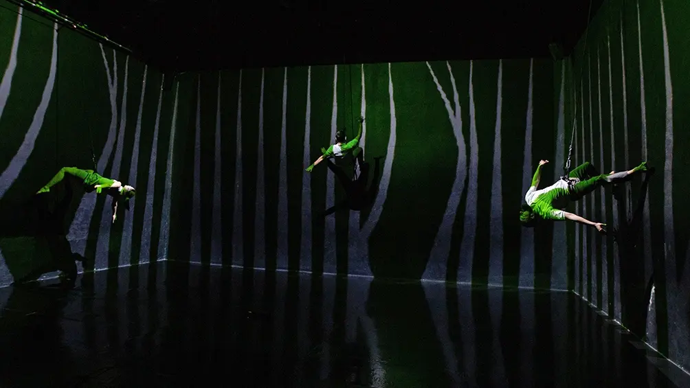 «Punto Mov», una nueva perspectiva del cuerpo y el mundo