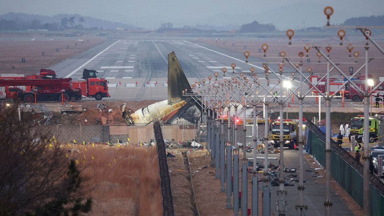 Corea del Sur instalará radares y cámaras térmicas en aeropuertos para prevenir colisiones con aves tras el accidente de Jeju Air