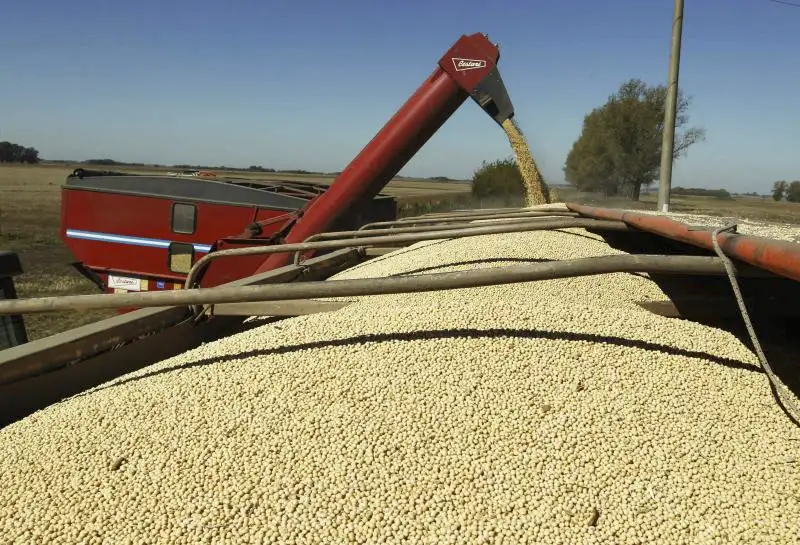 Cayeron las liquidaciones del campo pese a la cosecha récord