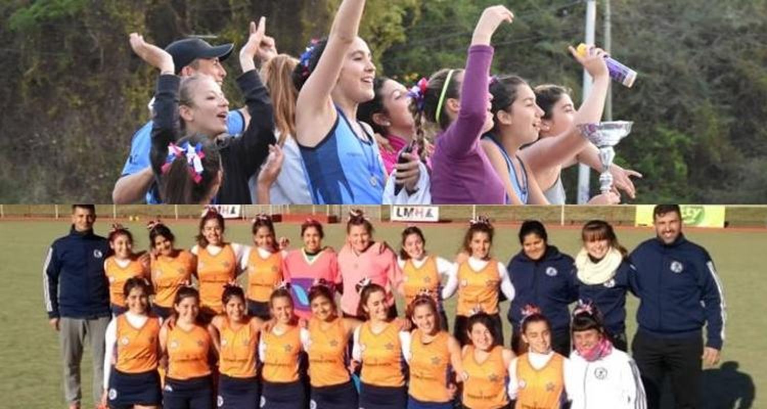 #Anuario2019 Hockey: Cancha sintética más vueltas olímpicas de Náutico en la AHO y Provincial para Los Andes