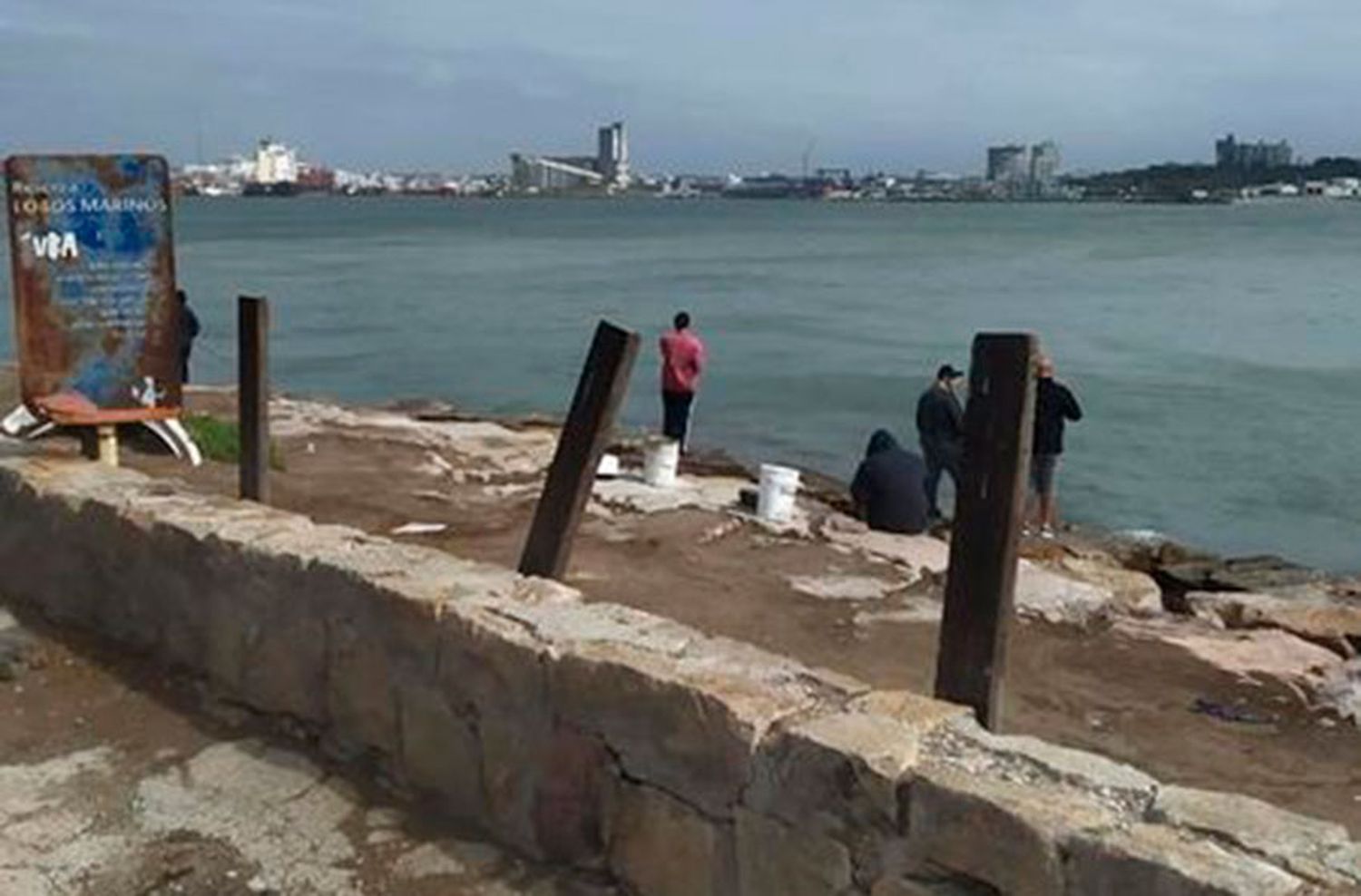 Denuncian Pesca deportiva en un espacio reservado para Lobos Marinos