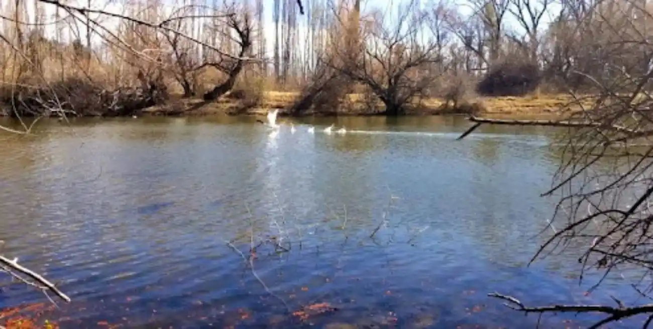 un adolescente falleció mientras se bañaba en La Herradura.