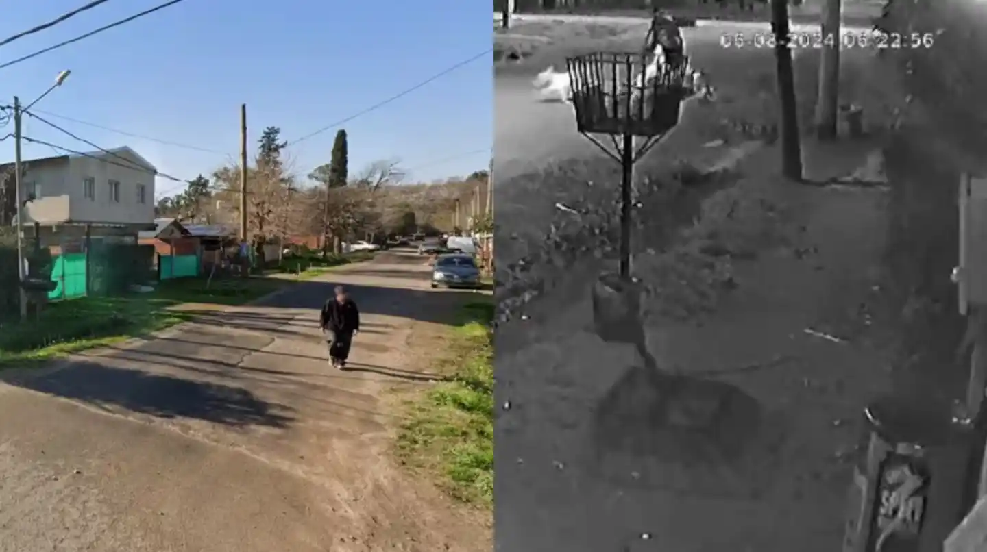 El violento incidente fue captado por las cámaras de seguridad y generó una ola de preocupación entre los vecinos por la falta de control sobre los animales.