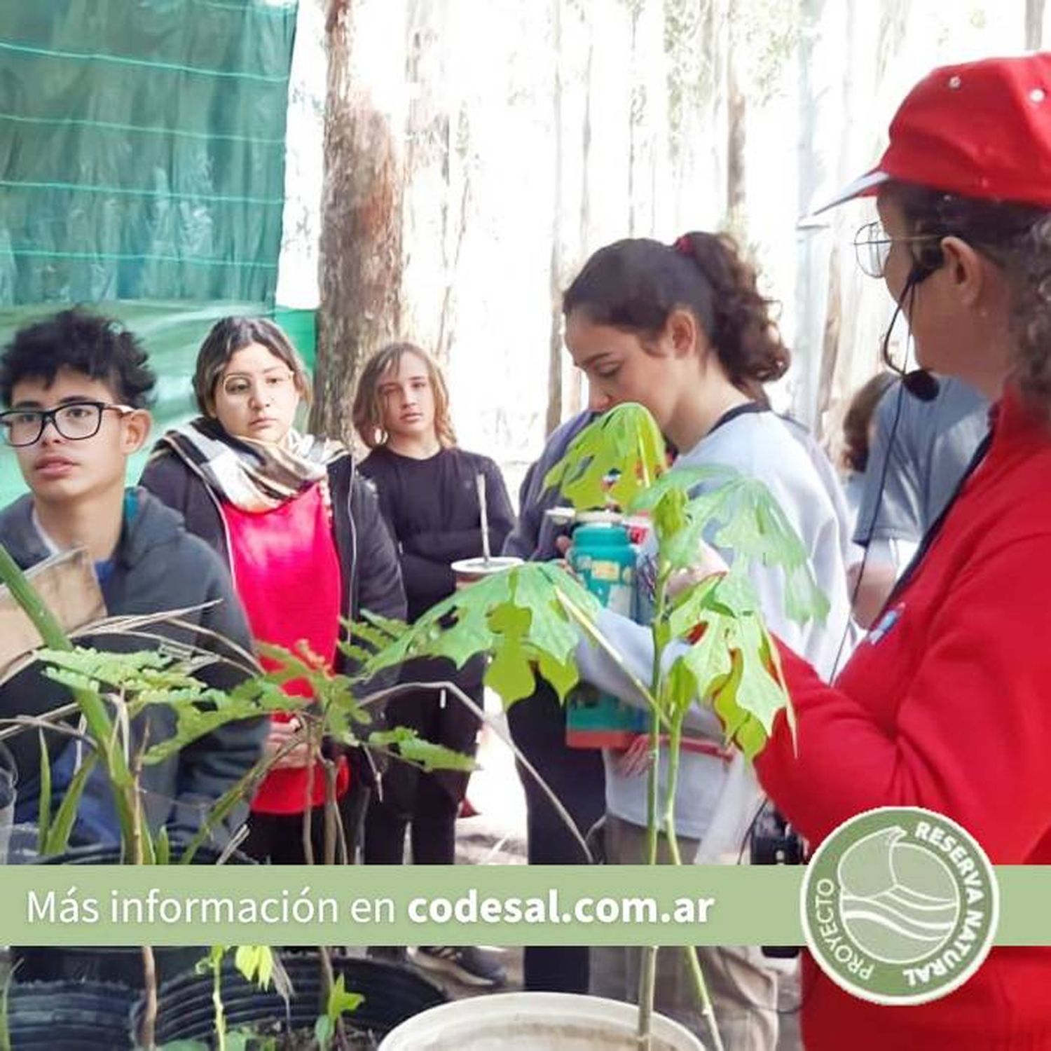 Continúan trabajando para  recuperar la flora nativa del  perilago de Salto Grande