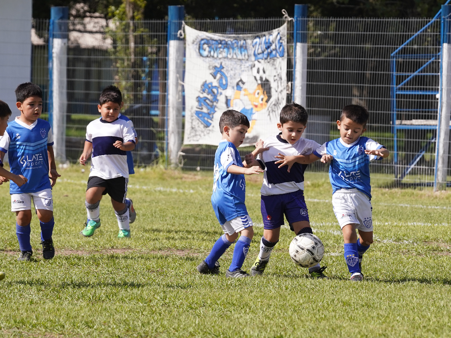 Vuelve el torneo oficial