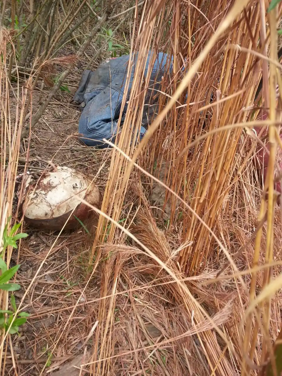 Caso Ángela Leonela Barrios: Autopsia reveló que sufrió una muerte violenta