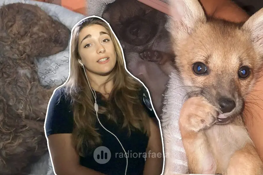 Adoptó un cachorrito y se llevó una enorme sorpresa: “Era raro, se trepaba a todo, no tenía actitudes de perro”