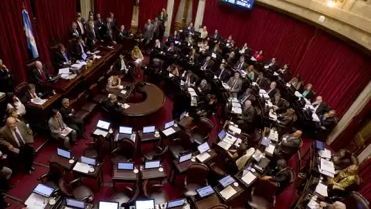 El Senado convirtió en ley el proyecto sobre el impuesto a las ganancias