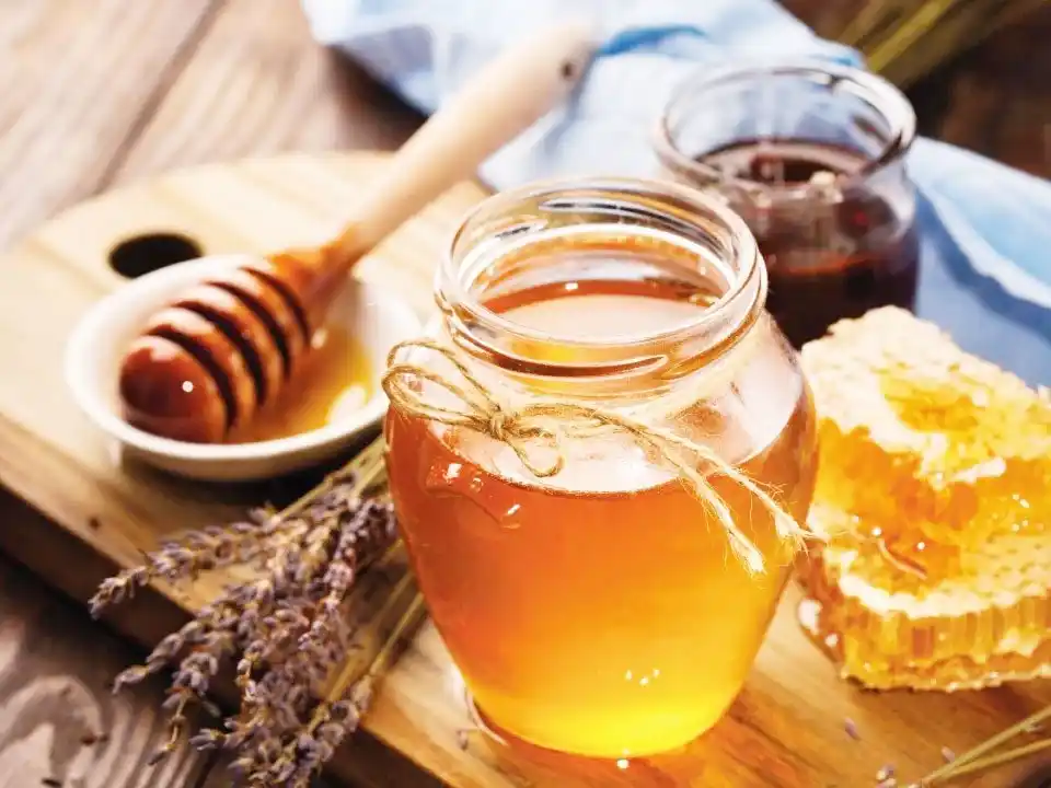 Jornada de difusión de la miel