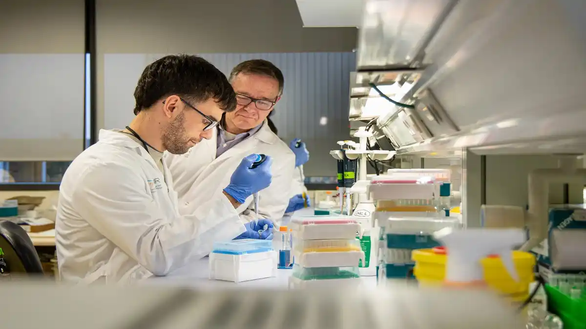 «ADRENOMEDULINA»: identifican la clave de la resistencia a la insulina