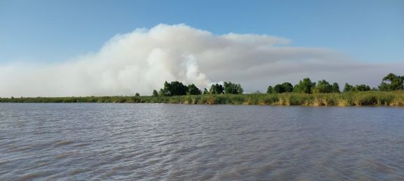 Humo por la quema de pastizales: recomendaciones por los efectos adversos