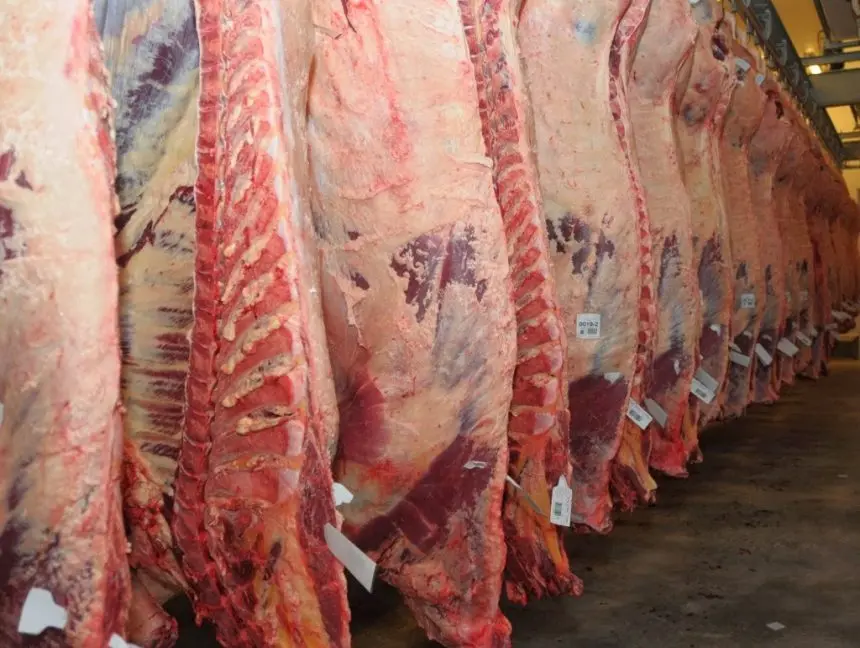 Creció 4% en julio la faena y aumentó a 57 kilos por habitante el consumo de carne vacuna