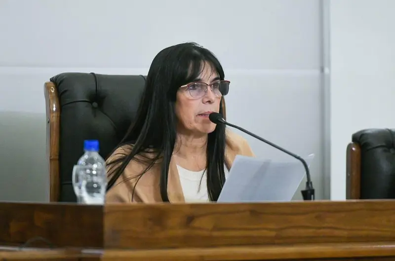 Presidente del Senado, Alicia Aluani