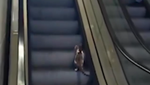 imagen Un gatito confundido se perdió en la escalera mecánica… y el final derrite de amor las redes
