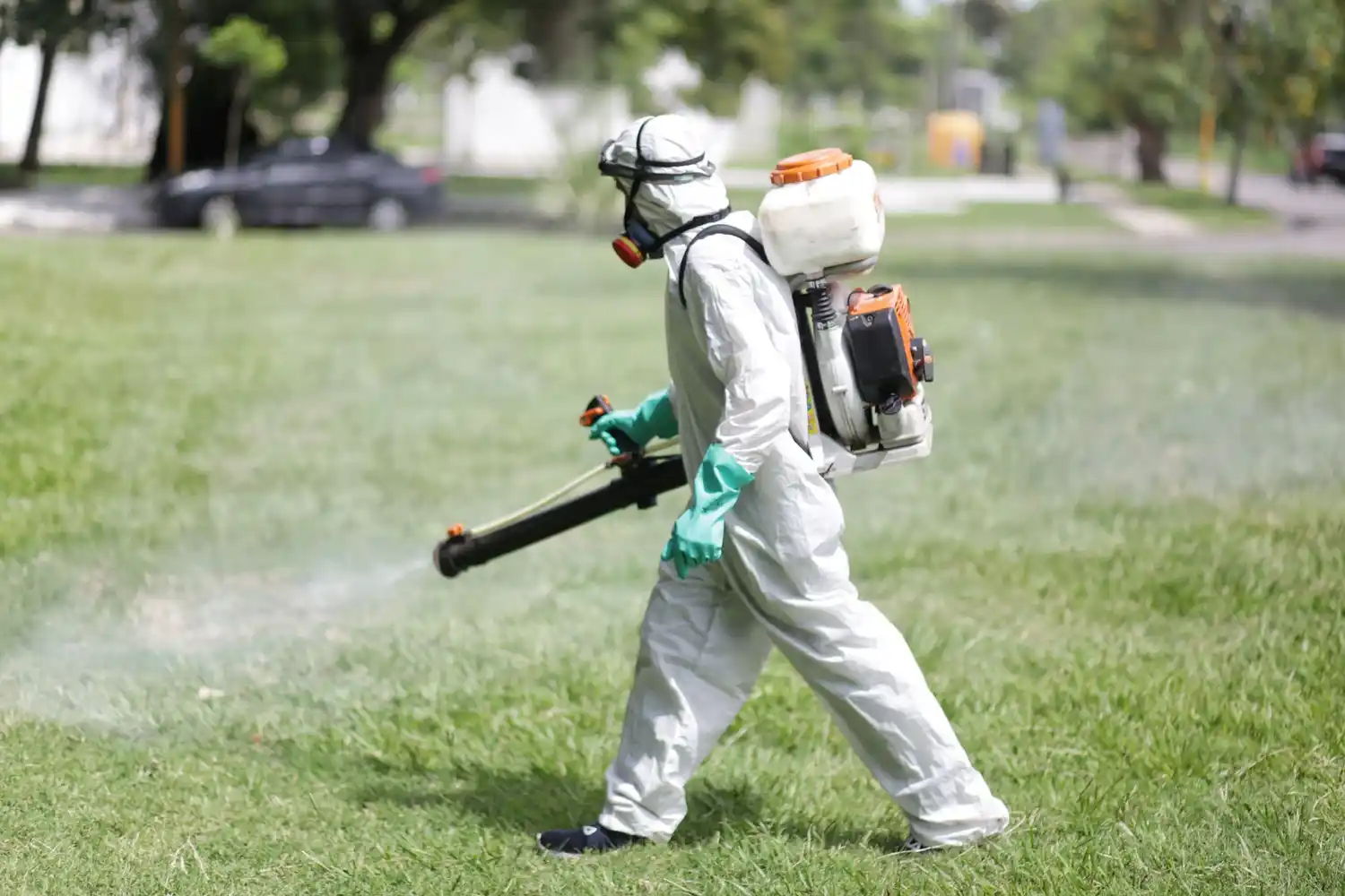 Trabajos de fumigación, iluminación y bacheo previstos para este jueves