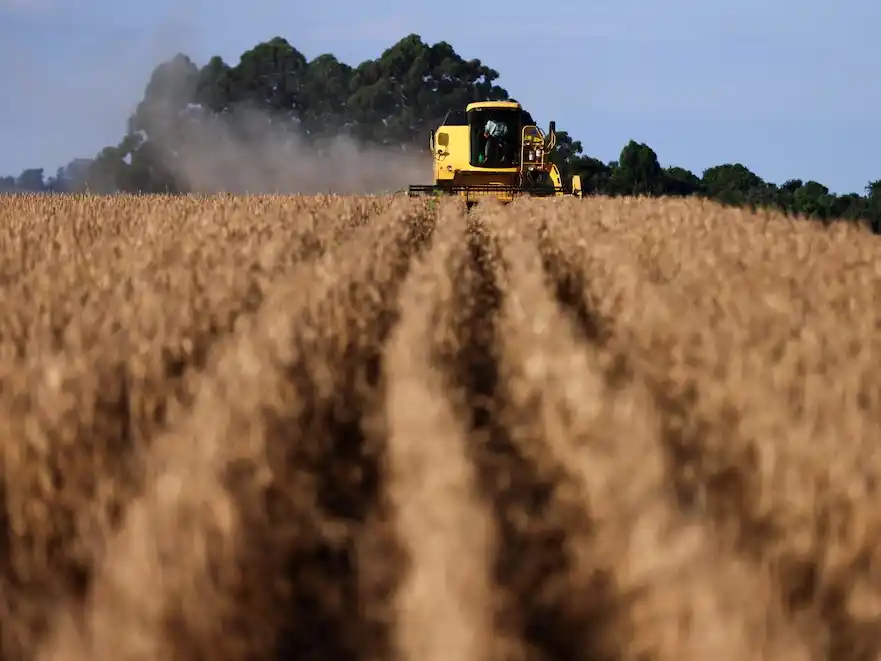 Cómo impacta en la economía argentina la escalada del precio internacional de la soja